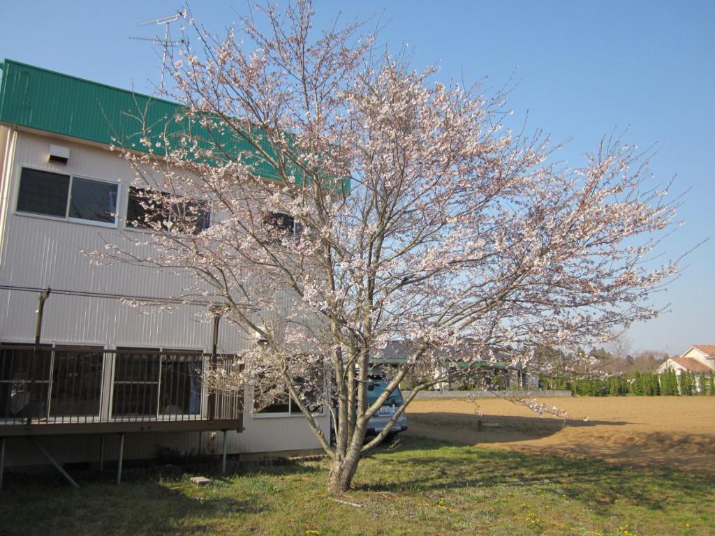 Narita Airport Hostel Shibayama Ngoại thất bức ảnh